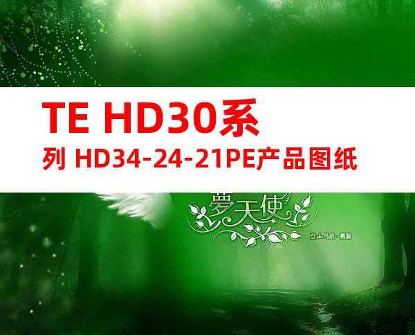 TE HD30系列 HD34-24-21PE产品图纸